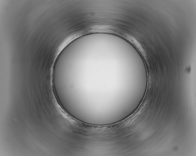 X0000091181386200708091037
