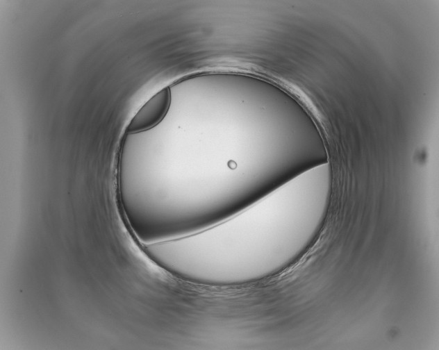 X0000091181387200708091037