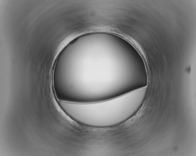 X0000091181389200708091037