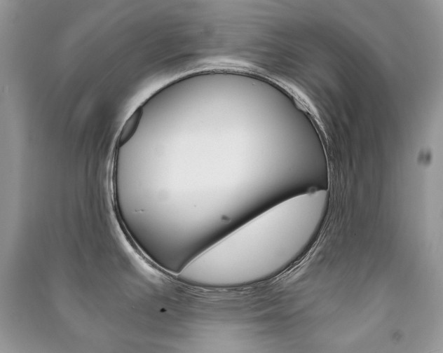 X0000091181391200708091037