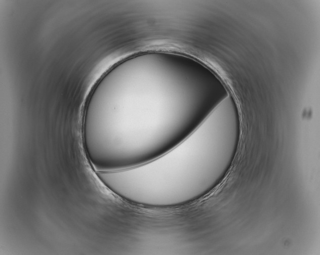 X0000091181392200708091037