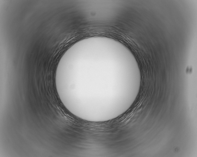 X0000091181394200708091036