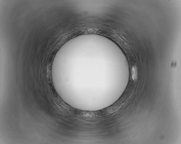 X0000091181395200708091036