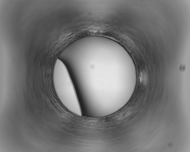 X0000091181396200708091036