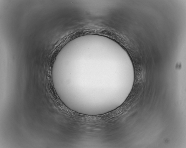 X0000091181397200708091036