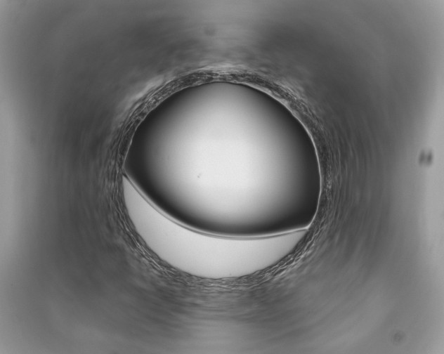 X0000091181398200708091036