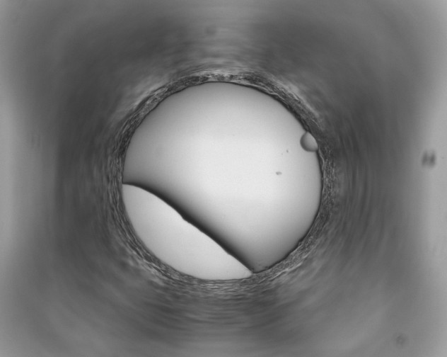 X0000091181399200708091036