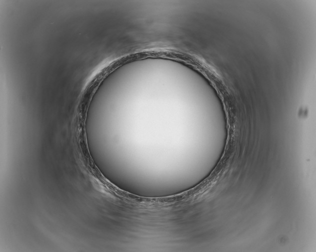 X0000091181400200708091036