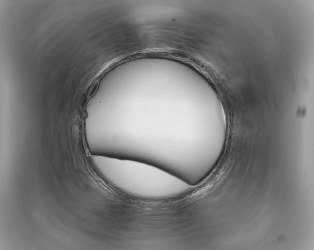 X0000091181401200708091036