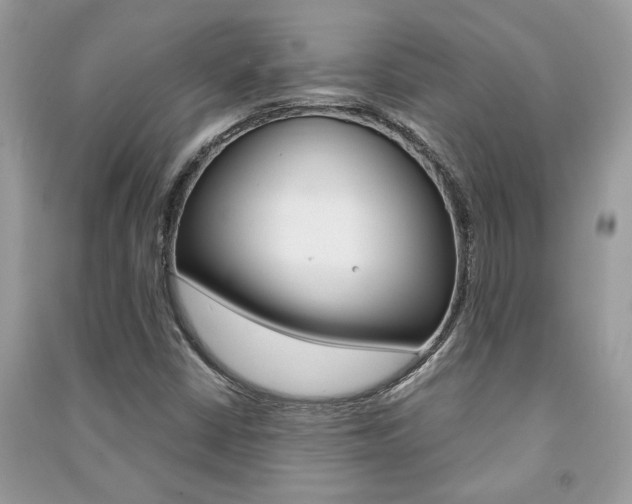 X0000091181402200708091036