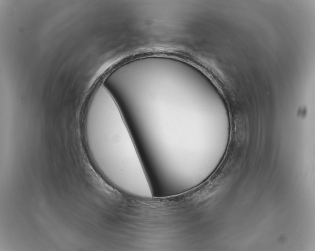 X0000091181404200708091036