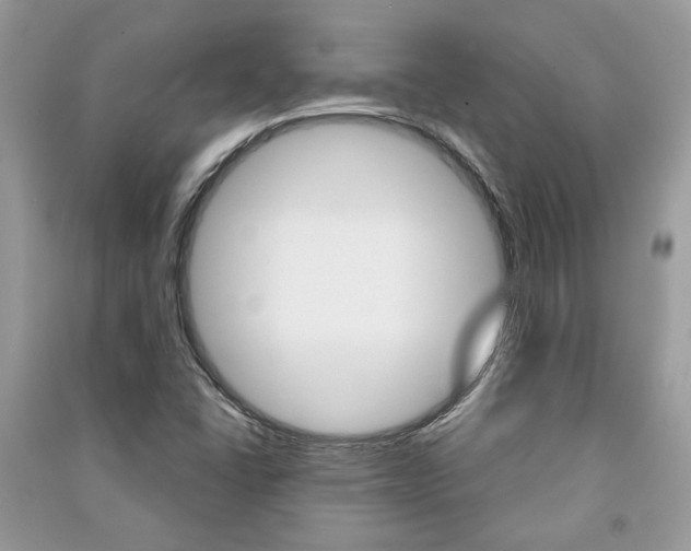X0000091181406200708091036