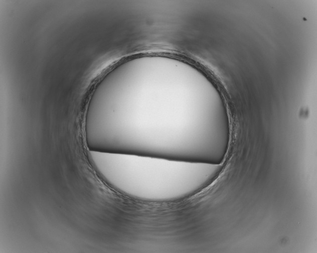 X0000091181407200708091036
