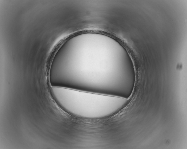 X0000091181408200708091036