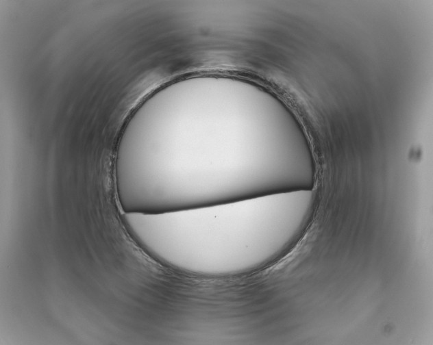 X0000091181409200708091036