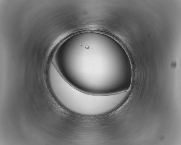 X0000091181410200708091036