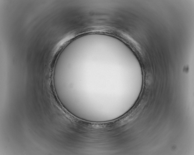 X0000091181411200708091036