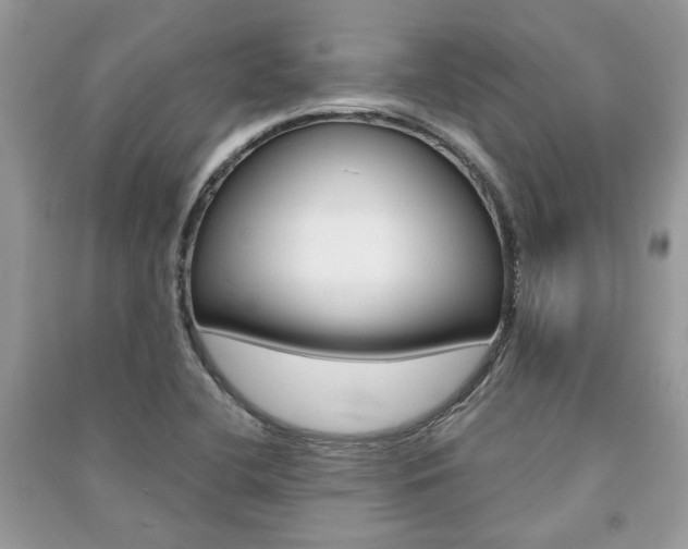 X0000091181412200708091036
