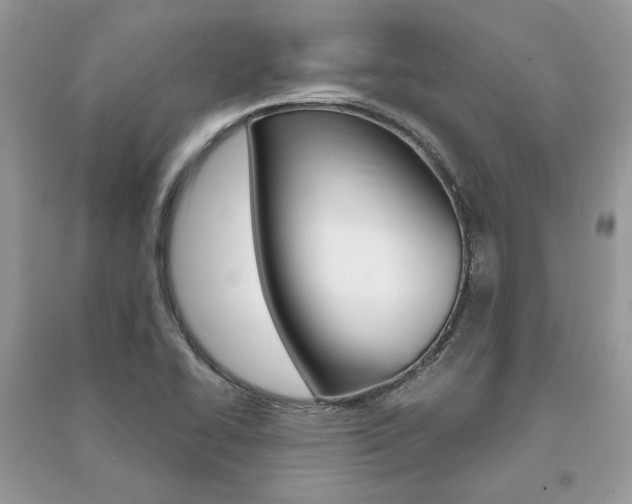 X0000091181414200708091036