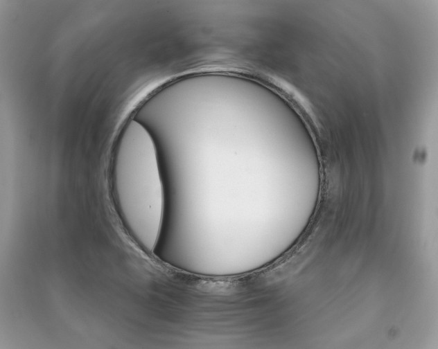 X0000091181415200708091036