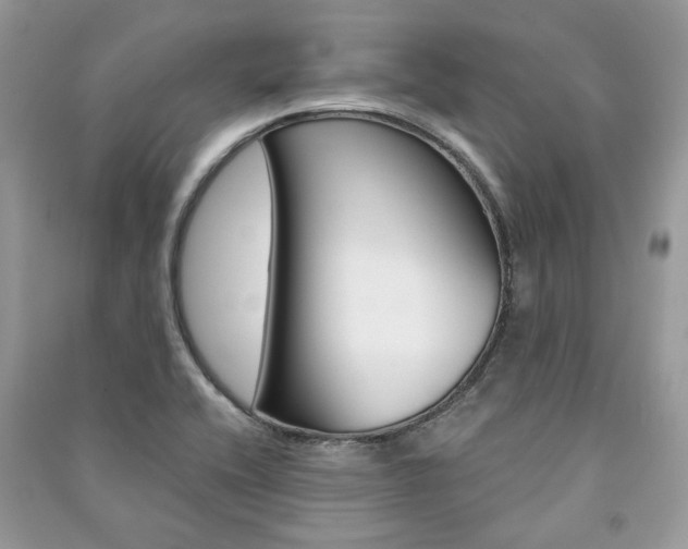 X0000091181416200708091036