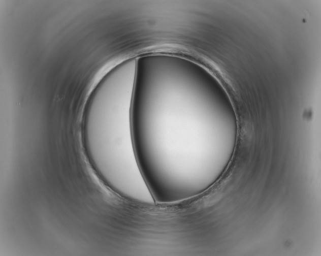 X0000091181418200708091036
