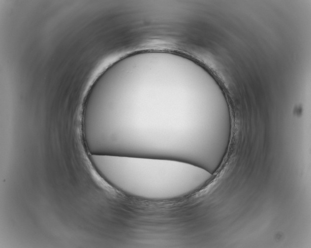 X0000091181421200708091036