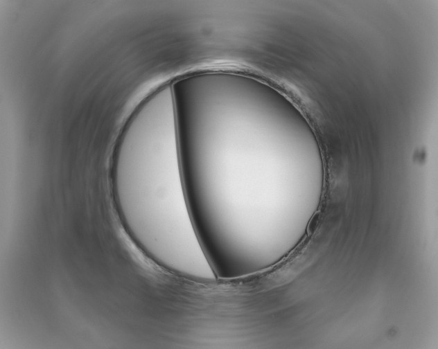X0000091181422200708091036