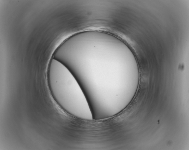 X0000091181423200708091036