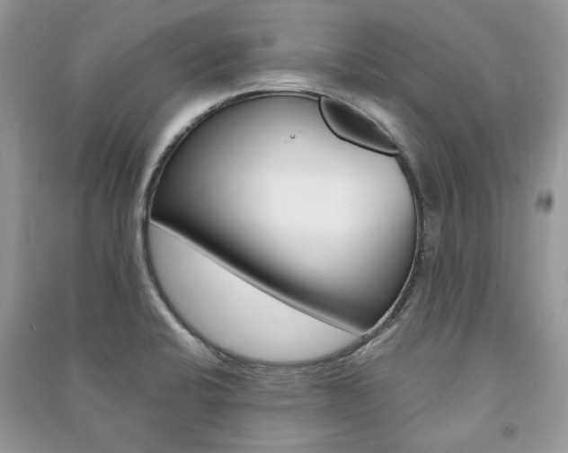 X0000091181424200708091036