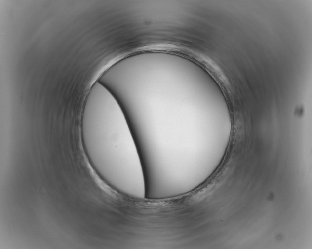 X0000091181425200708091036