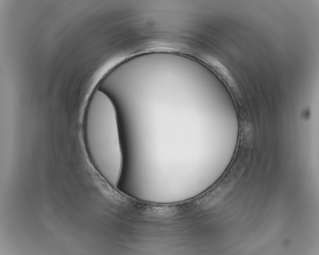 X0000091181427200708091036