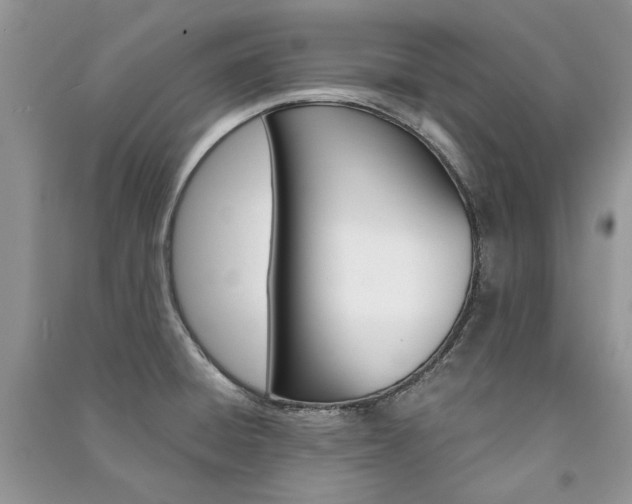 X0000091181428200708091036