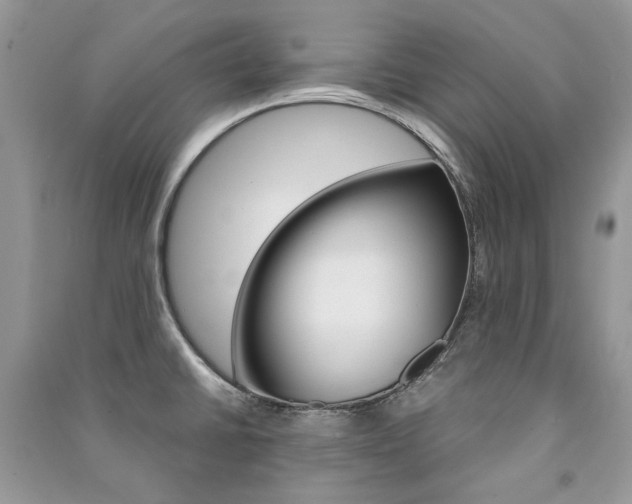 X0000091181430200708091036