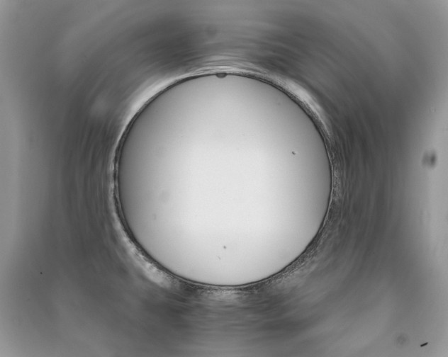 X0000091181431200708091037