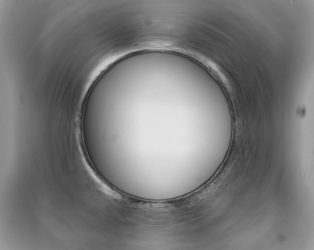 X0000091181432200708091037