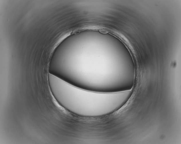 X0000091181433200708091037