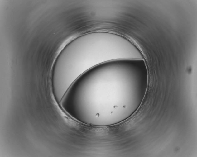 X0000091181434200708091037