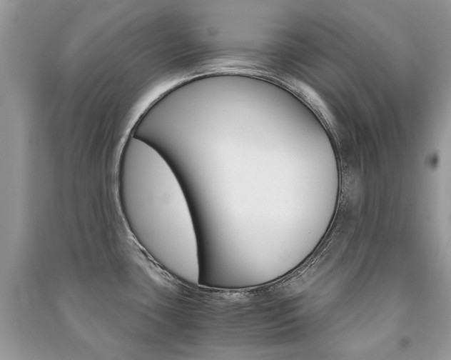 X0000091181435200708091037