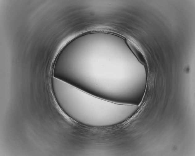 X0000091181437200708091037