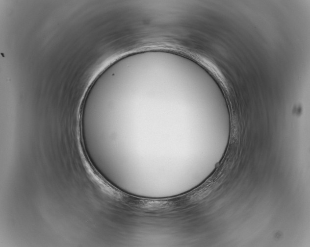 X0000091181439200708091037
