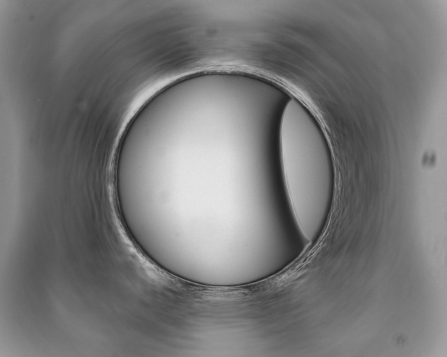 X0000091181440200708091037