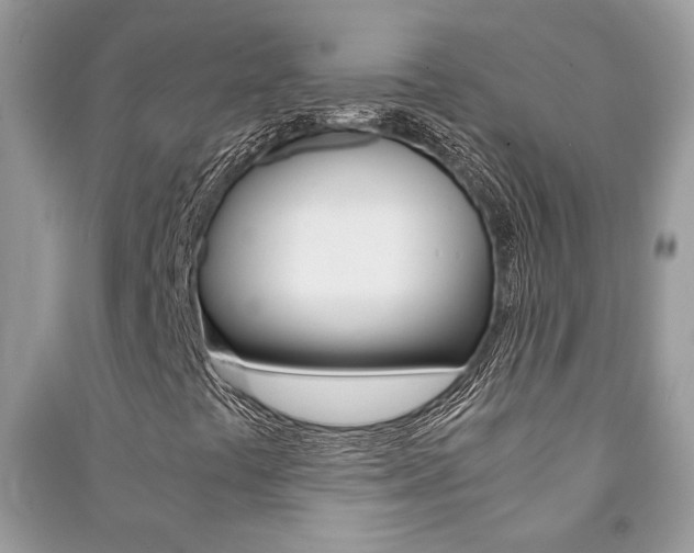 X0000091181441200708091036