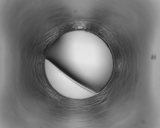 X0000091181442200708091036