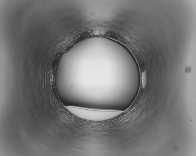 X0000091181443200708091036