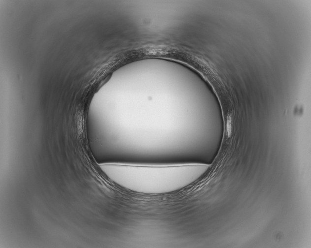 X0000091181444200708091036