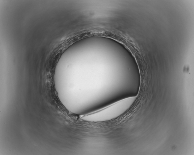 X0000091181445200708091036