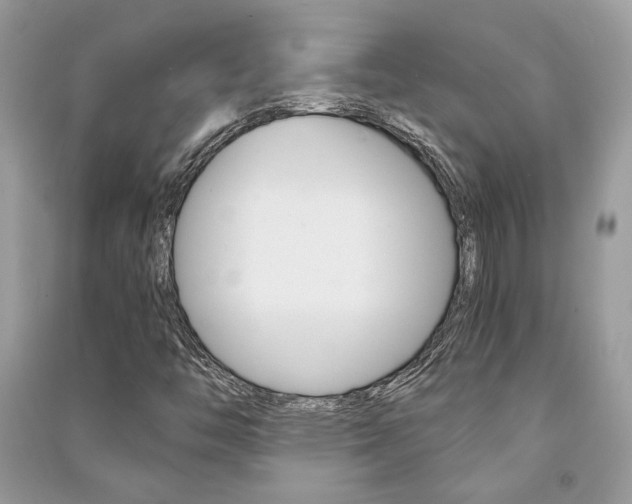 X0000091181446200708091036