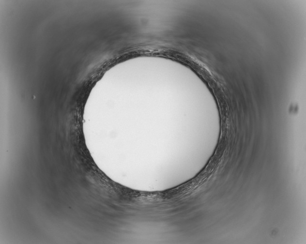 X0000091181447200708091036