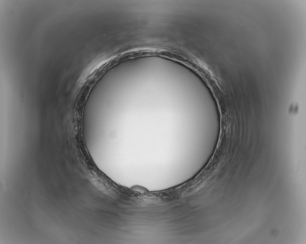 X0000091181448200708091036